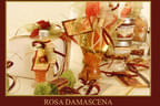 Rosa Damascena Bild 15