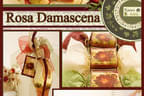 Rosa Damascena Bild 0