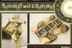 Eukalyptus - Rosmarin Bild 2